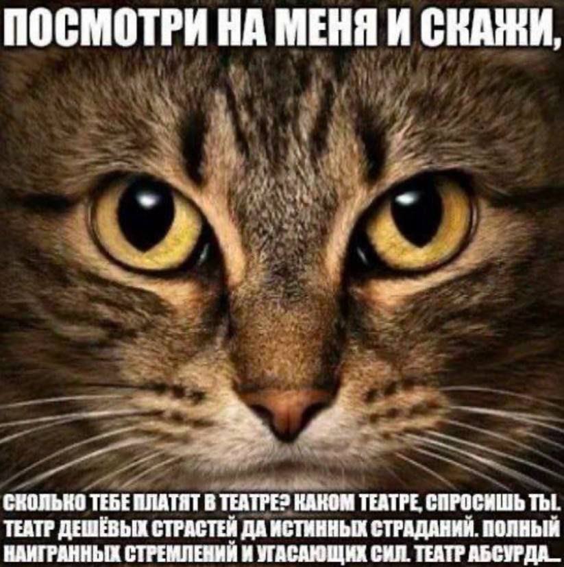 ПОСМОТРИ НА МЕНЯ И “Be СКОЛЬКО ТЕБЕ ПЛАТЯТ В TEATPE? КАКОМ ТЕАТРЕ, СПРОСИШЬ ТЫ. ТЕАТР ДЕШЁВЫХ СТРАСТЕЙ ДА ИСТИННЫХ СТРАДАНИЙ. ПОЛНЫЙ НАИГРАННЫХ СТРЕМЛЕНИЙ И УГАСАЮЩИХ СИЛ. ТЕАТР АБСУРДА