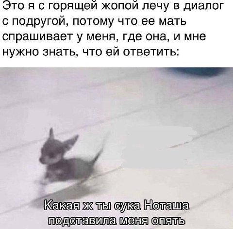 то я с горящей жопой лечу в диалог с подругой, потому что ее мать спрашивает у меня, где она, и мне нужно знать, что ответить: бука