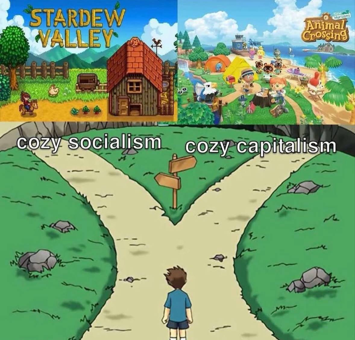 5 cozyrsocialism cozy с apitalism aN ake