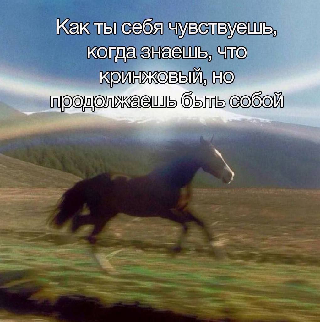 Как ты себя чувствуешь когда знаешь, что НО быль