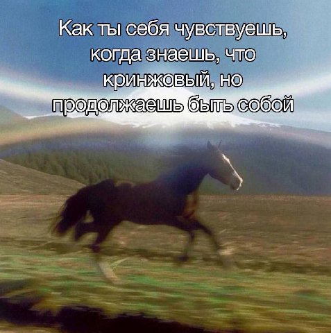 Как ты себя чувствуешь когда знаешь, что НО быль