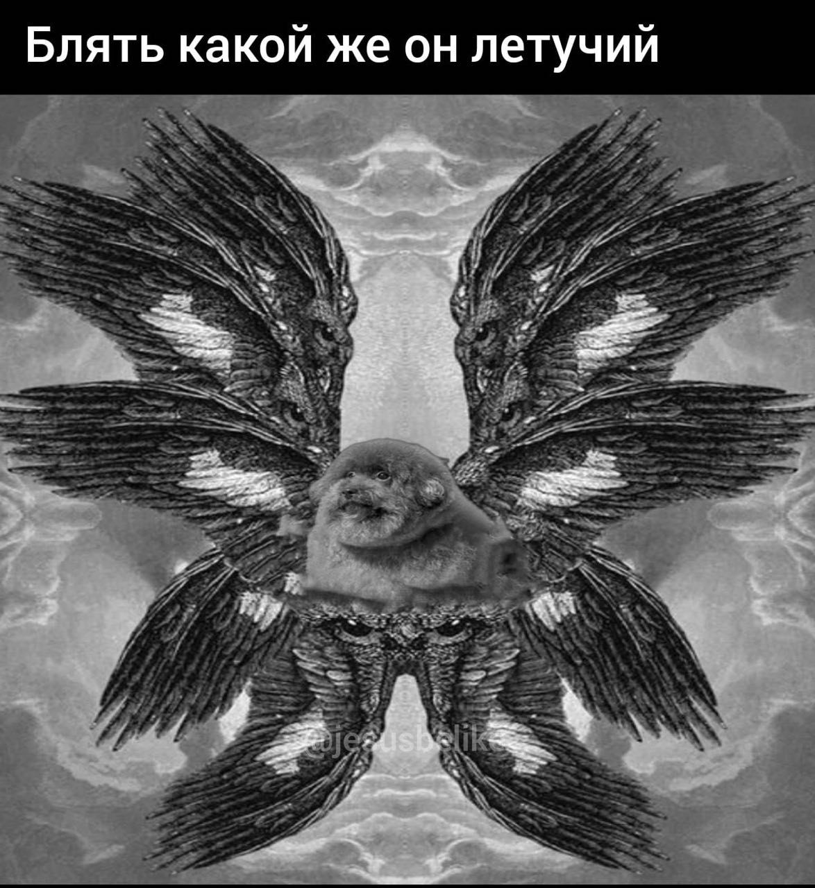 Блять какой же он летучий