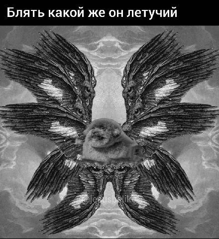 Блять какой же он летучий