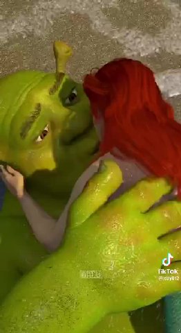 a TikTok