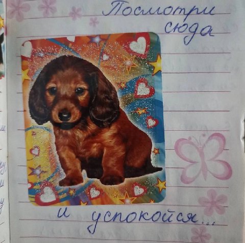a к 3 око“