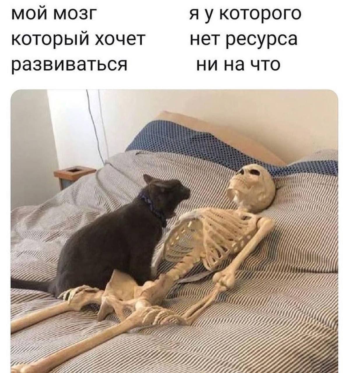 МОЙ МОЗГ я у которого который хочет нет ресурса развиваться ни на что A i a у’ Mii