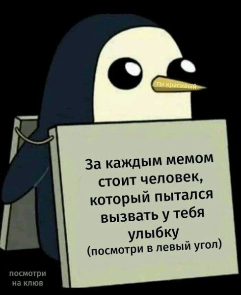 За каждым мемом стоит человек, который пытался вызвать у тебя улыбку (посмотри в левый посмотри на клюв