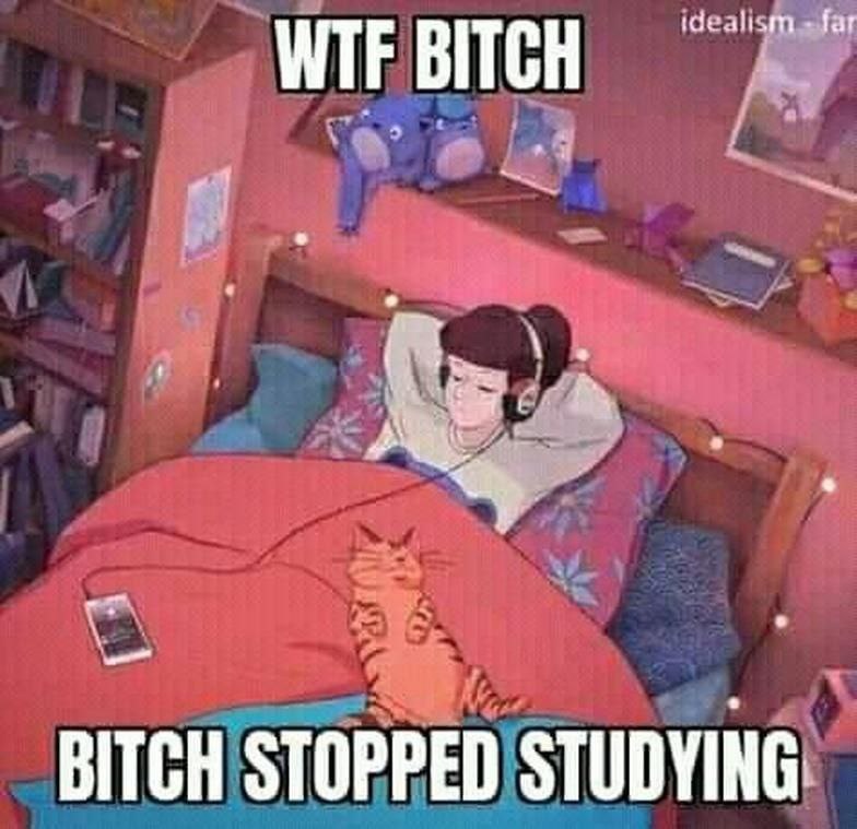 BITCH STOPPED STUDYING: