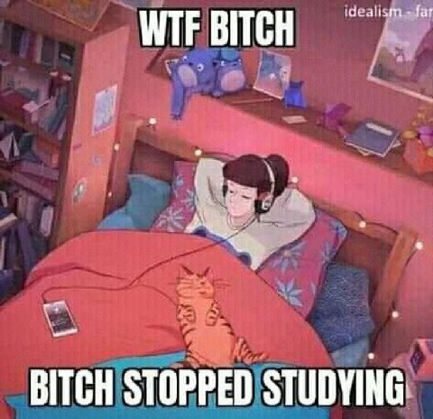 BITCH STOPPED STUDYING: