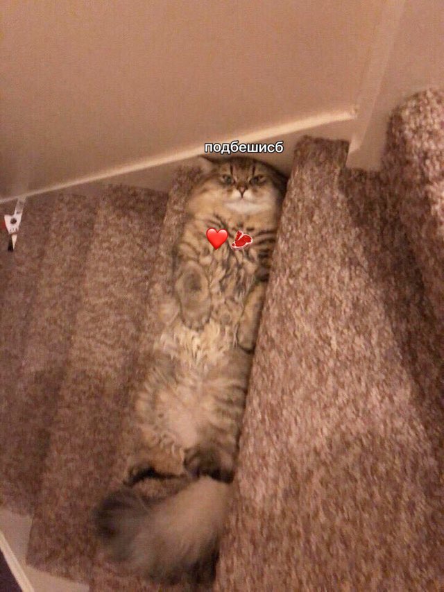 i у a 4 у a 4 Tes у ACS у 2 К