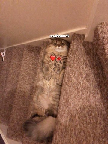 i у a 4 у a 4 Tes у ACS у 2 К