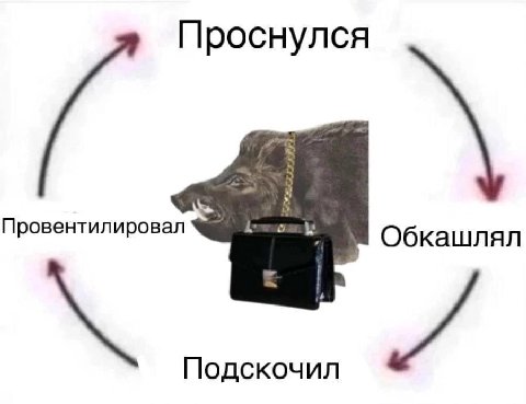 Проснулся Провентилировал Обкашлял Подскочил