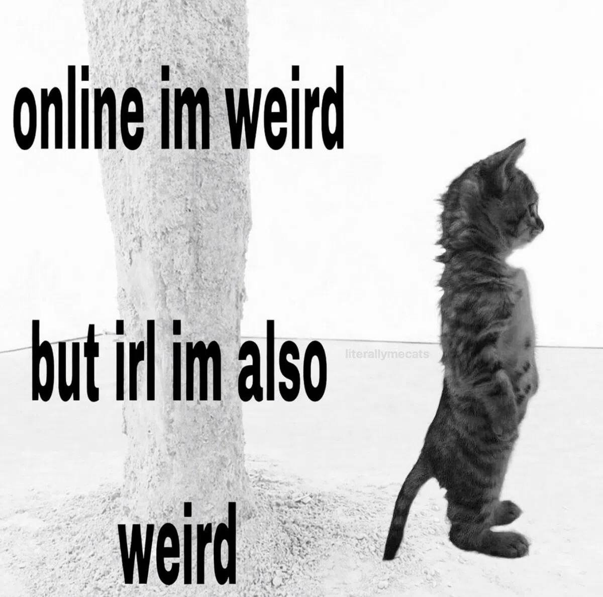 onling weird but irl also