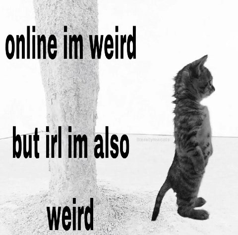 onling weird but irl also