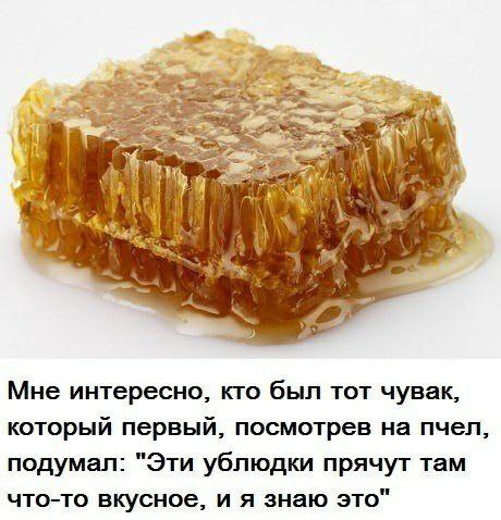 В Мне интересно, кто был тот чувак, который первый, посмотрев на пчел, подумал: "Эти ублюдки прячут там что-то вкусное, и я знаю это"