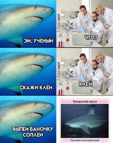 a УЧЁНЫЙ 7. СКАЖИ КЛЕЙ А ВЫПЕЙ БАНОЧКУ СОПЛЕЙ Научная классификация