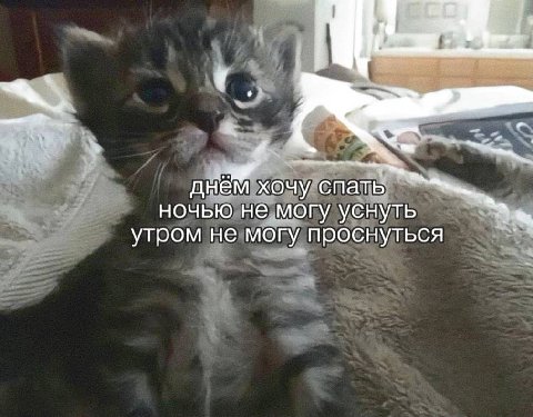 днём хочу спать ночью не могу уснуть утром не могу проснуться