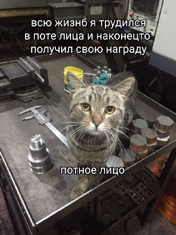 всю жизнб я трудился в поте лица и наконецто` получил свою награду потное лицо