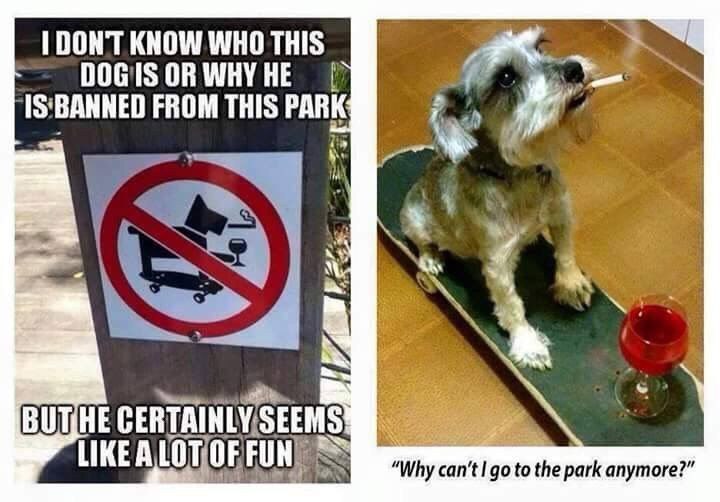 1 DONT KNOW WHO THIS OR WHY HE в FROM THIS PARK LIKE “Why to the park anymore?”