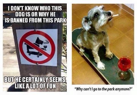 1 DONT KNOW WHO THIS OR WHY HE в FROM THIS PARK LIKE “Why to the park anymore?”