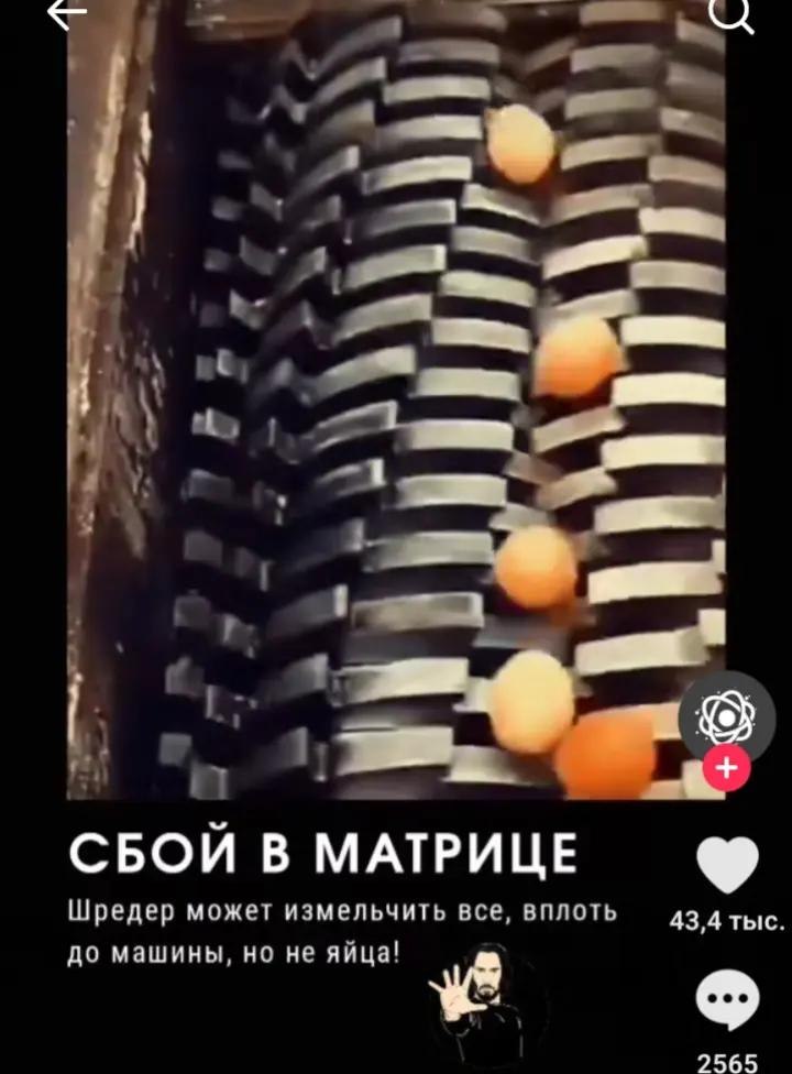 4 СБОЙ В ТРИЦЕ Шредер может измельчить все, вплоть 43,4 тыс. до машины, но не яйца! 2565