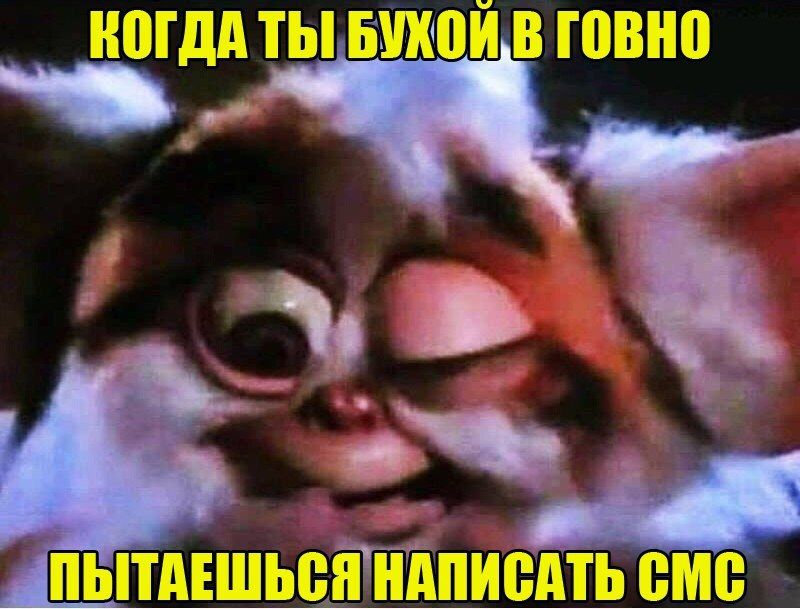 КОГДА ТЫ! БУХОЙВ ГОВНО A к ПЫТАЕШЬСЯ НАПИСАТЬ CMC
