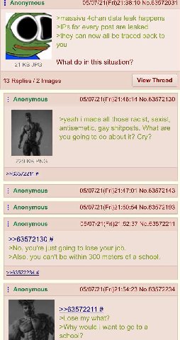 Anonymous No.63572031 >massive 4chan data leak happens >IPs for every post are leaked >they can now all be traced back to you 21 JPG What in this situation? 13 Replies 2 Images View Thread Anonymous 0