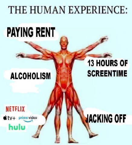 THE HUMAN EXPERIENCE PAYING ENT 13 HOURS OF ALCOHOLISM SCREENTIME NETFLIX 1 oFF hulu