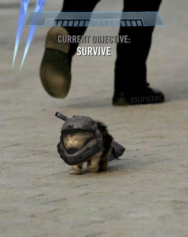 SURVIVE