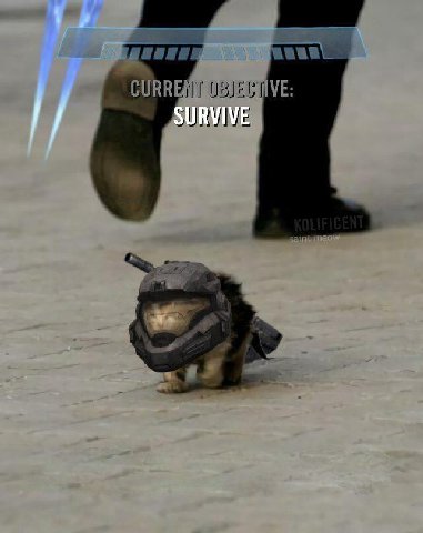 SURVIVE