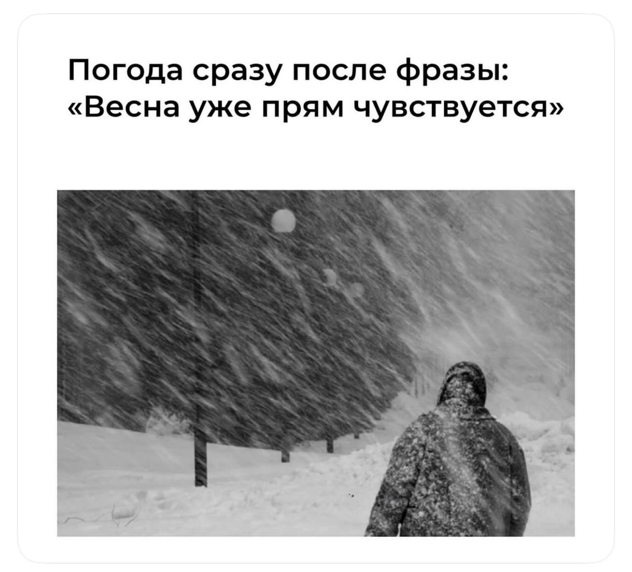 Погода сразу после фразы: «Весна уже прям чувствуется» к