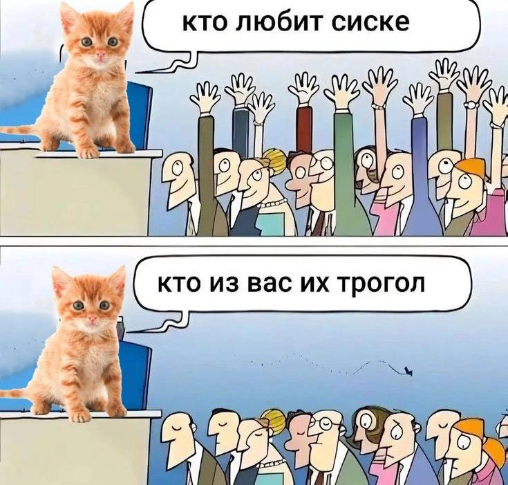 кто любит сиске И i К 9