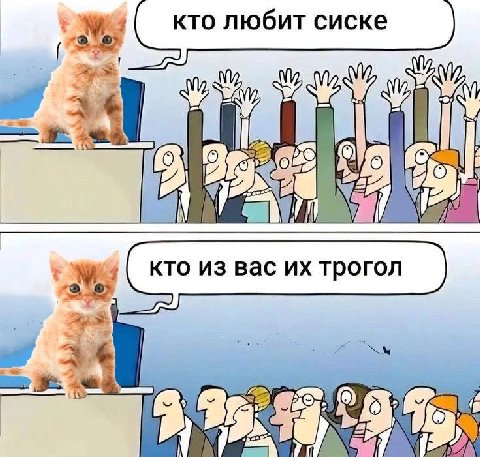 кто любит сиске И i К 9