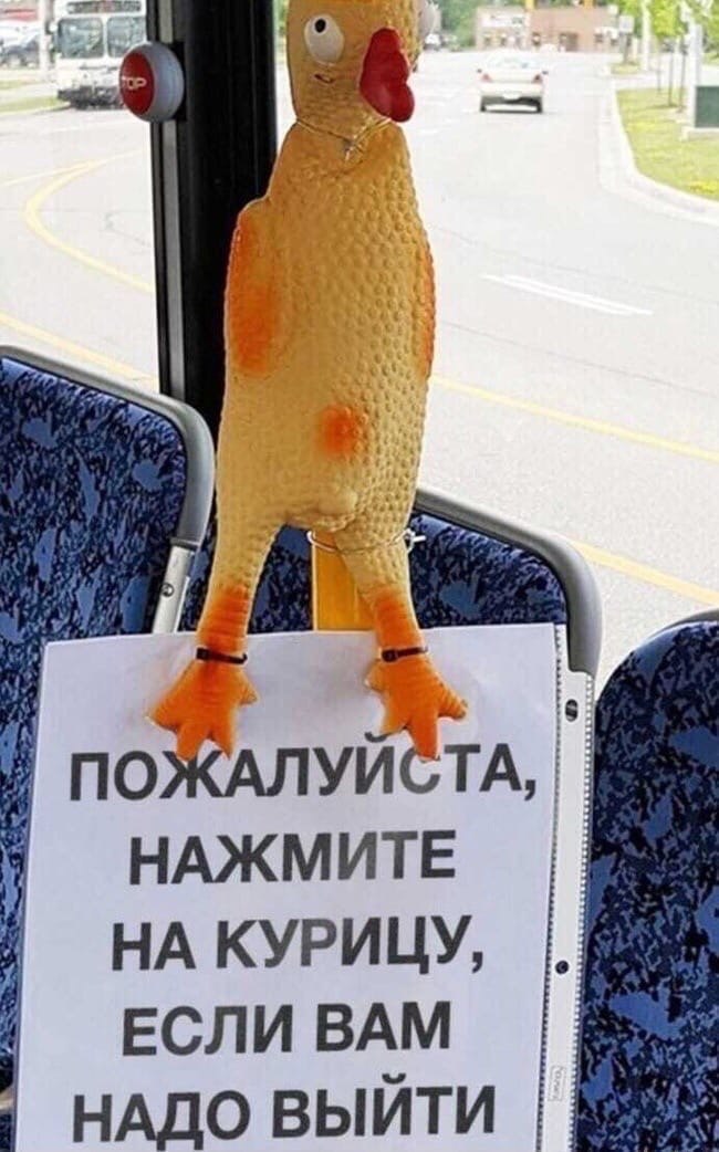 4 Analy “4 at ПО НАЖМИТЕ НА КУРИЦУ, ЕСЛИ ВАМ НАДО ВЫЙТИ