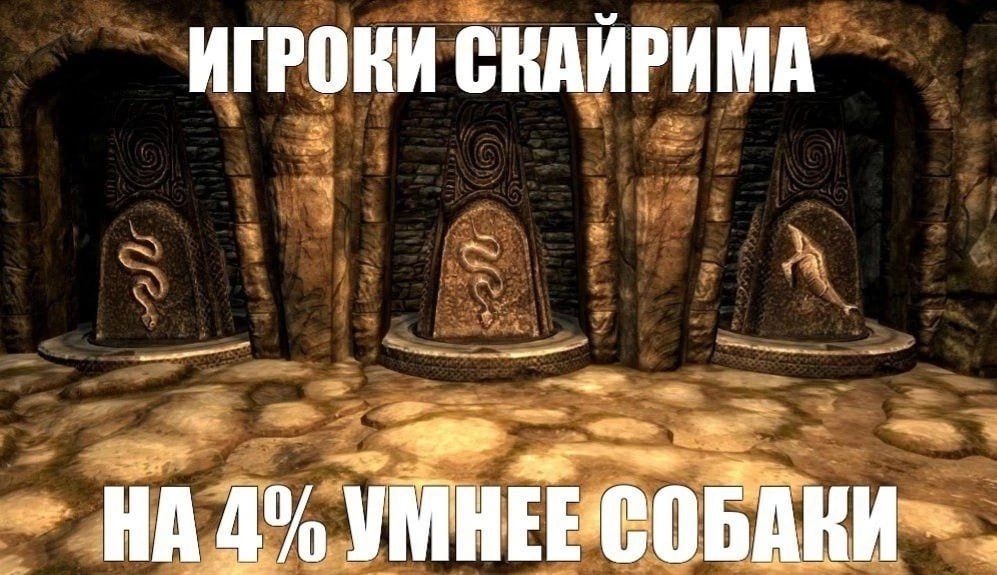 ИГРОКИ СКАЙРИМА НА 4%