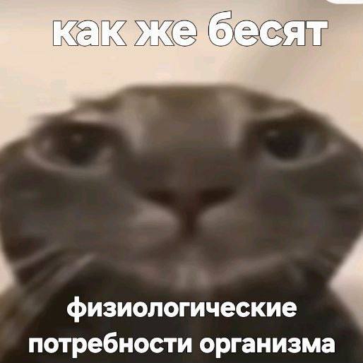 физиологические потребности организма