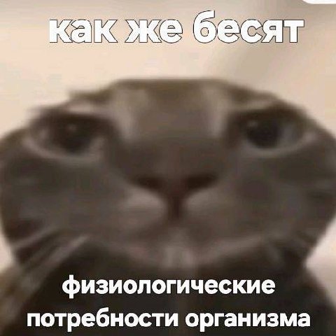 физиологические потребности организма