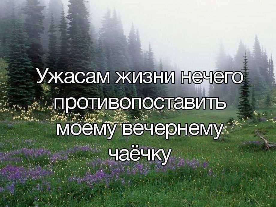 Ужасам жизни его „противопоставить чаёчку