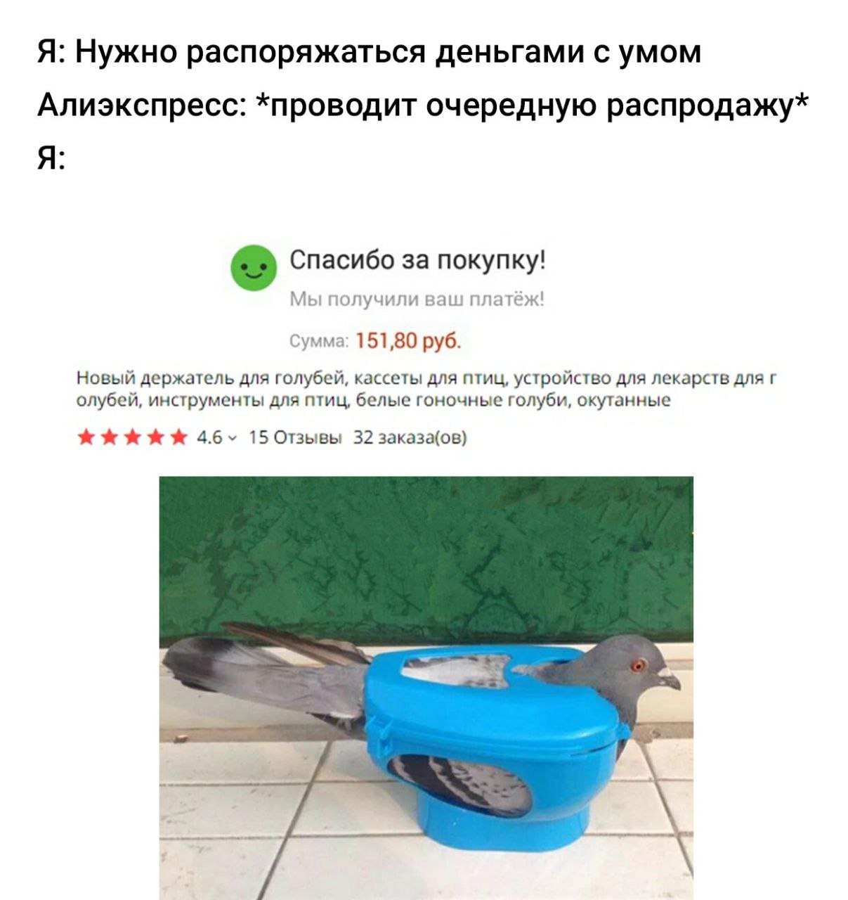 Я: Нужно распоряжаться деньгами с умом Алиэкспресс: *проводит очередную распродажу* Я Спасибо за покупку! Мы получили ваш платёж! Сумма: 151,80 руб. Новый держатель для голубей, кассеты для птиц, устр