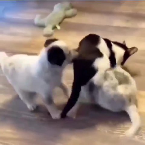 мем