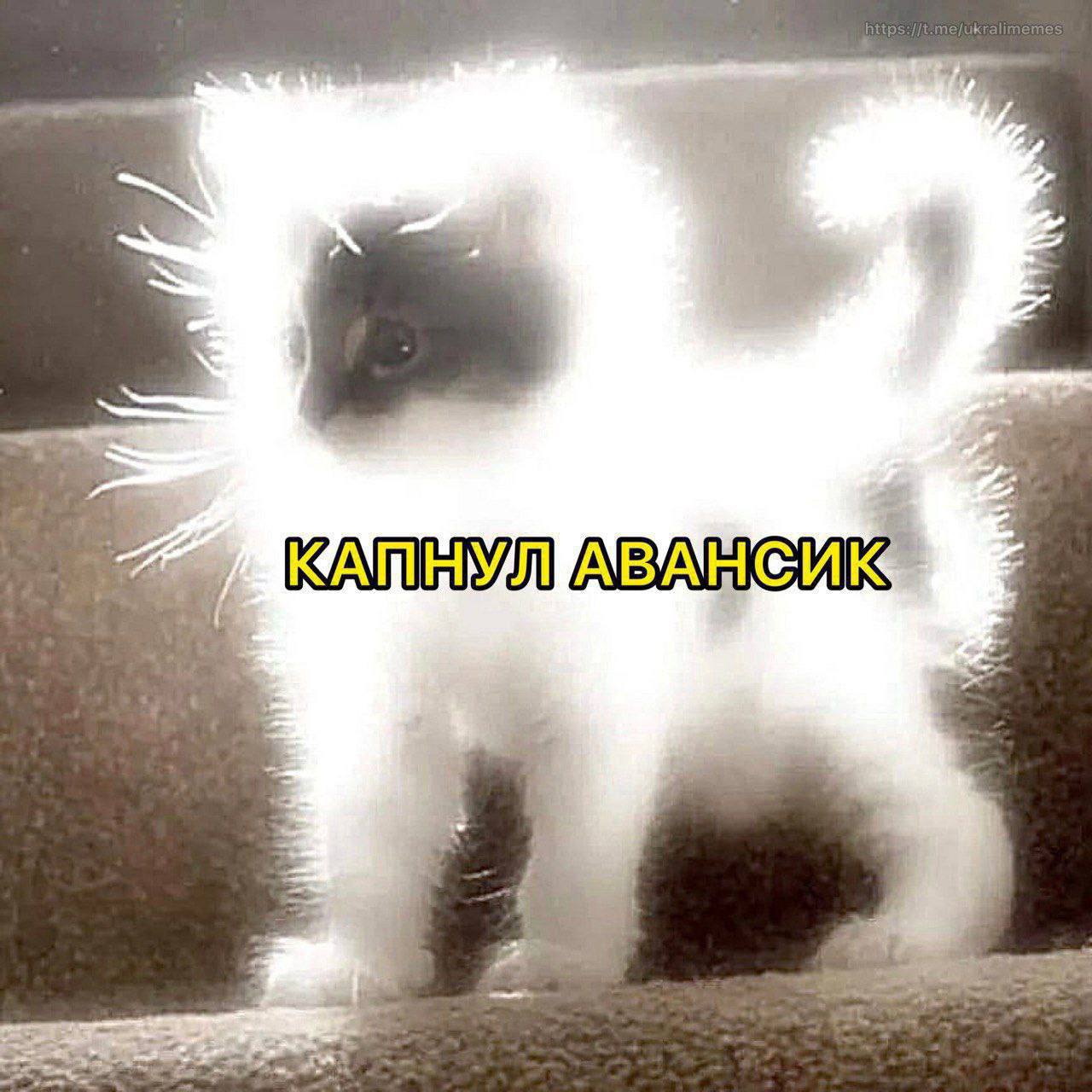 me КАПМУЛ