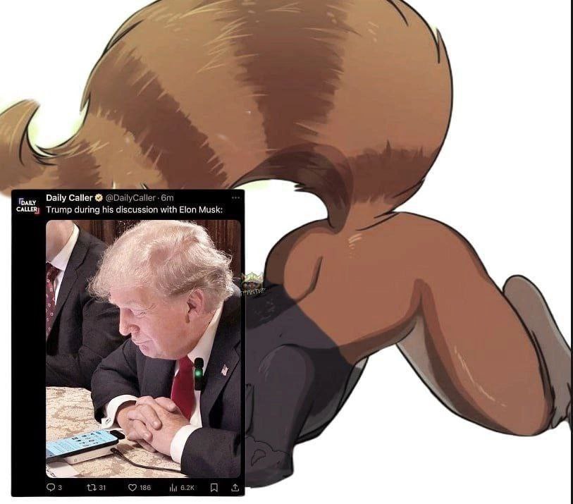 if Daily Caller Trump during his discussion with Elon Musk: