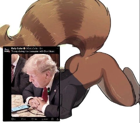 if Daily Caller Trump during his discussion with Elon Musk: