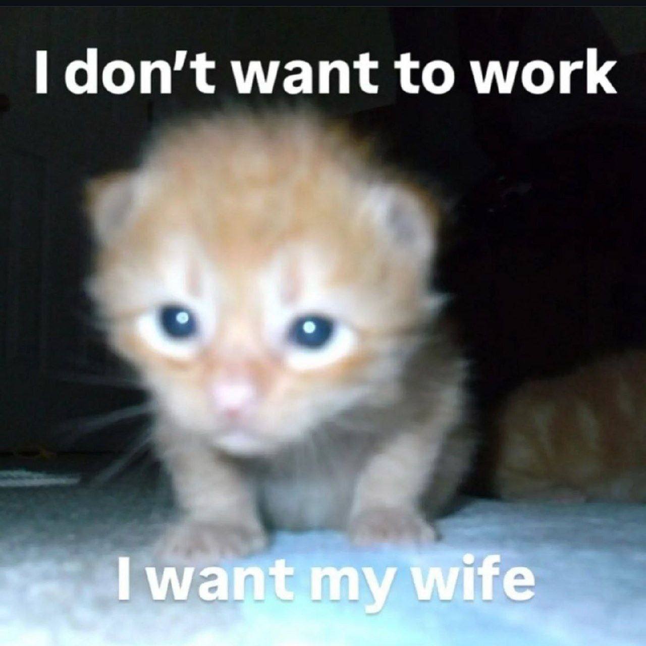 don’t want to work