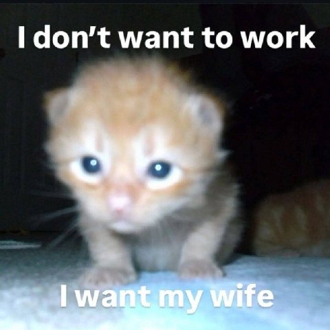 don’t want to work