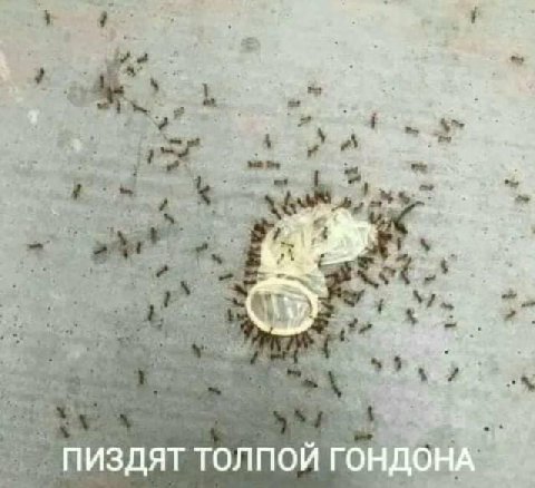 ПИЗДЯТ ТОЛПОЙ ГОНДОНА
