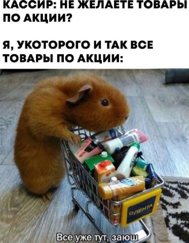 no АКЦИИ? Я, УКОТОРОГО И ТАК ВСЕ ТОВАРЫ ПО АКЦИИ 1 Всеужетут, заюш