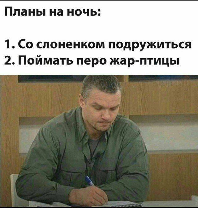 Планы на ночь: 1. слоненком подружиться 2. Поймать перо жар-птицы