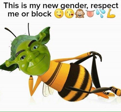This is my new gender, respect У me or block