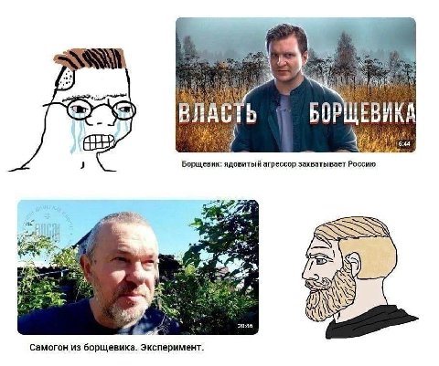 ВЛАСТЬ БОРЩЕВИК/ Борщевик: ядовитый агрессор захватывает Россию i 4, Я 20:46 Самогон из борщевика. Эксперимент.